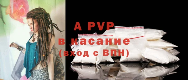 сатива Володарск