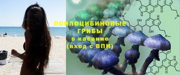 сатива Володарск