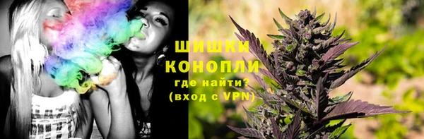 сатива Володарск