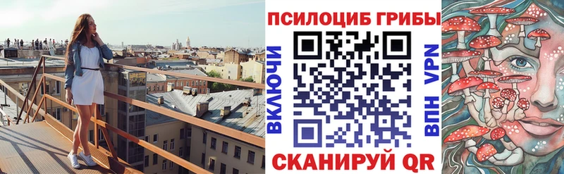 Купить закладки  Переславль-Залесский  Псилоцибиновые грибы ЛСД 